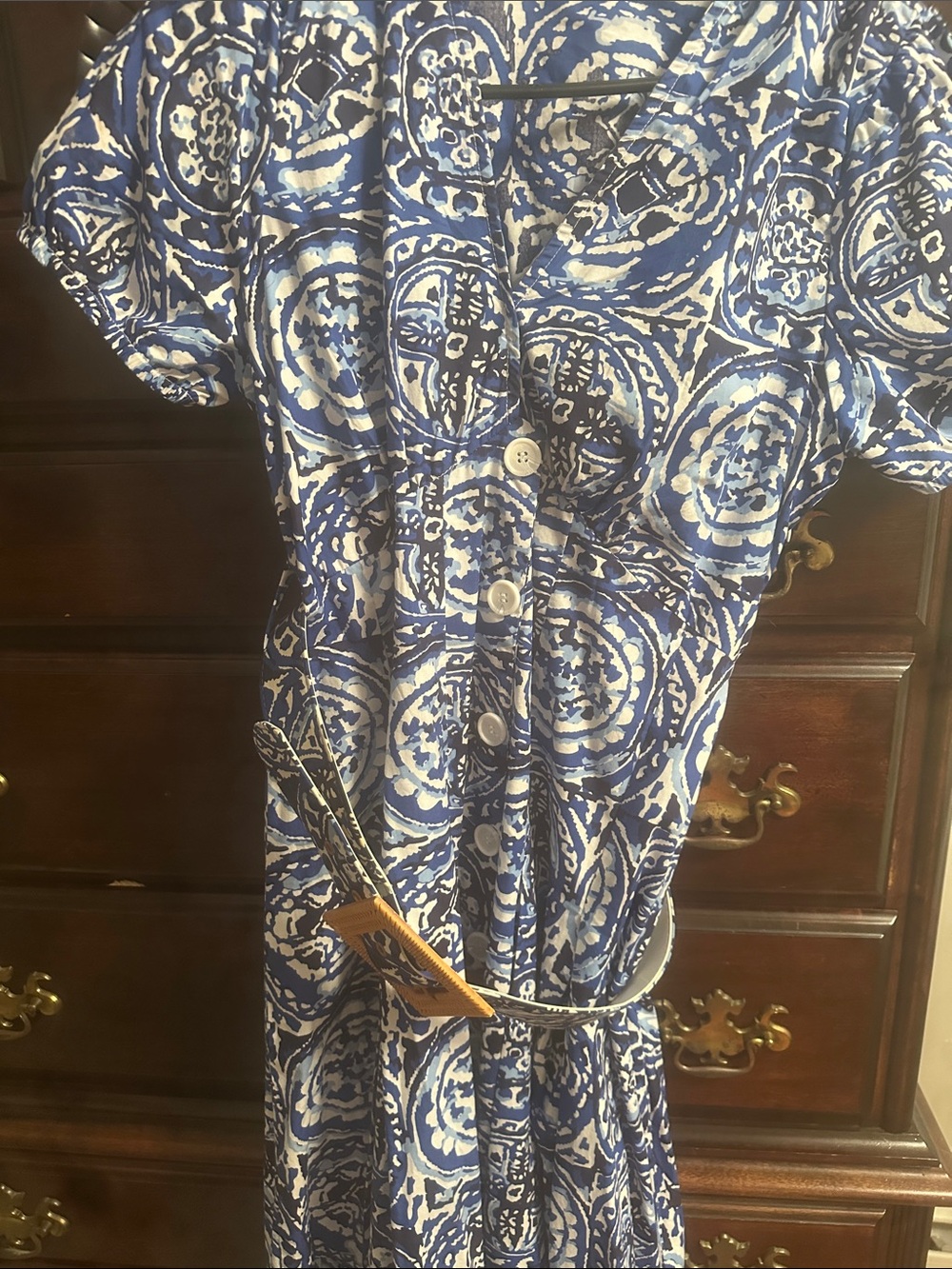 Blue Printed Button-Front Women's Dress with Tie Waist